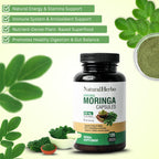 NaturalHerbo Pure Moringa Capsules - Pure Moringa Leaf Extract for Natural Energy, Digestion & Daily Wellness | Green Superfood Supplement | Vegan, Non-GMO, Gluten-Free | 120 Capsules (800mg)