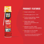 Great Stuff 157911 Insulating Foam Sealant, 20 Ounce, Ivory
