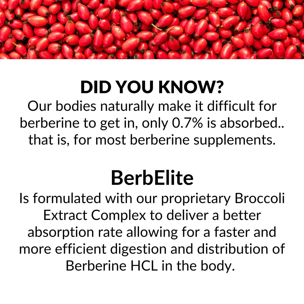 Mara Labs BerbElite | 350mg Berberine HCL & Broccoli Seed Complex for Increase Bioavailability | 30 Vegan Capsules