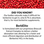Mara Labs BerbElite | 350mg Berberine HCL & Broccoli Seed Complex for Increase Bioavailability | 30 Vegan Capsules