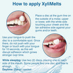 Oracoat XyliMelts for Dry Mouth Night Time or Day - Moisturizing Dry Mouth Adhering Discs, Sugar Free with Xylitol, 100 Count, Mild Mint Flavor, 8-Hour Relief