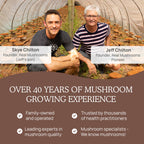 Real Mushrooms Unsweetened Hot Chocolate Mix with 5 Defenders – Reishi, Chaga, Turkey Tail, Maitake, Shiitake – Coco Powdered Unsweetened – Organic Cacao Powder Supplement, Vegan, 15 Servings