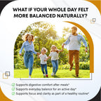 Ceylon Cinnamon Apple Cider Vinegar Turmeric Ginger Root Berberine Gymnema sylvestre Milk Thistle Licorice -150 Capsules
