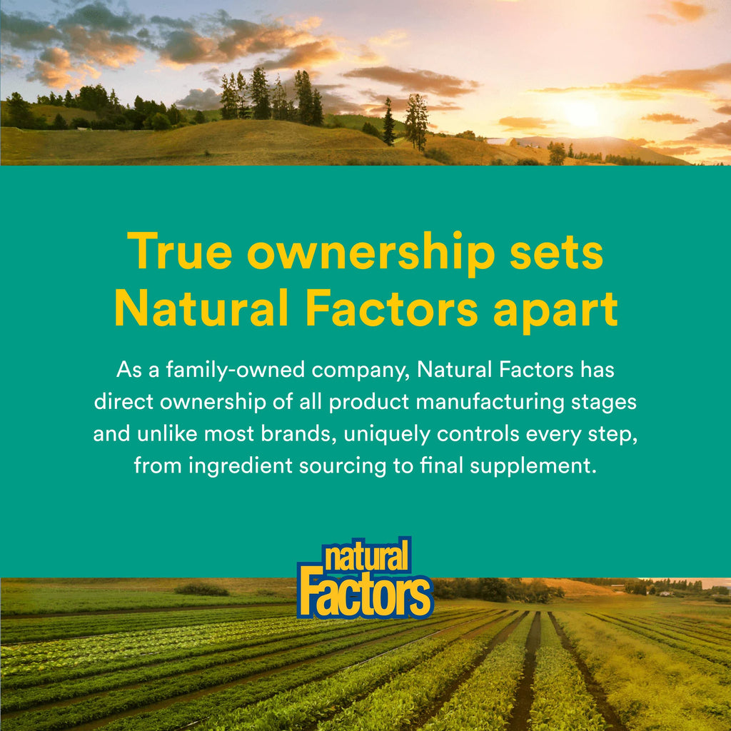 Natural Factors Whole Earth & SEA Men's 50+ Once A Day MULTIVITAMIN & Mineral, 60 Vegetarian Capsules