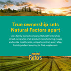 Natural Factors Whole Earth & SEA Men's 50+ Once A Day MULTIVITAMIN & Mineral, 60 Vegetarian Capsules