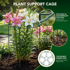 6 Pack 16 x 24 Inch Peony Cages and Supports, 16" D x 24" H Grow Through Plant Support Grid Brace for Outdoor Plants Flower, Metal Peony Stake Peony Ring Hoops Frame Support for Rose Tomato Vegetables