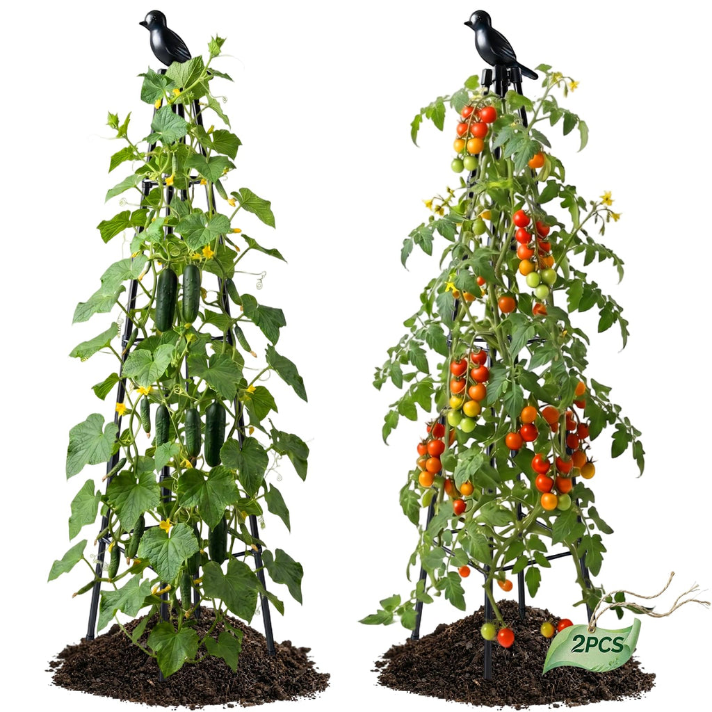 2 Pack Cucumber Trellis, 4FT Cucumber Trellis for Raised Bed, Garden Obelisk Trellis for Climbing Plants Outdoor Rustproof Plants Support for Flower Vine Vegetable Tomato Cage,Potted Plants