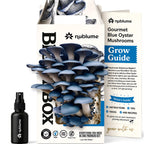 BloomBox Blue Oyster Mushroom Grow Kit – Spray & Grow – Pre-Inoculated Indoor Mushroom Farm – Beginner Friendly – Harvest Fresh Gourmet Mushrooms in Days – Perfect Gift