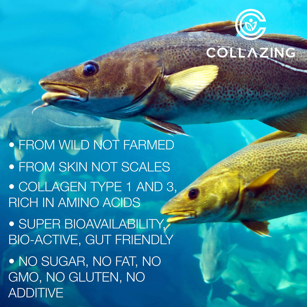 C COLLAZING - Alaskan Wild-Caught Marine Collagen Peptides with Hyaluronic Acid & Vitamin C - Supports Skin, Hair, Nails, Joints & Bones - Type 1 & 3 Collagen for Women & Men - 120 Powder Capsules