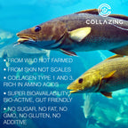 C COLLAZING - Alaskan Wild-Caught Marine Collagen Peptides with Hyaluronic Acid & Vitamin C - Supports Skin, Hair, Nails, Joints & Bones - Type 1 & 3 Collagen for Women & Men - 120 Powder Capsules