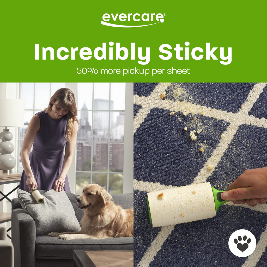 Evercare Posture Corrector