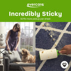 Evercare Posture Corrector