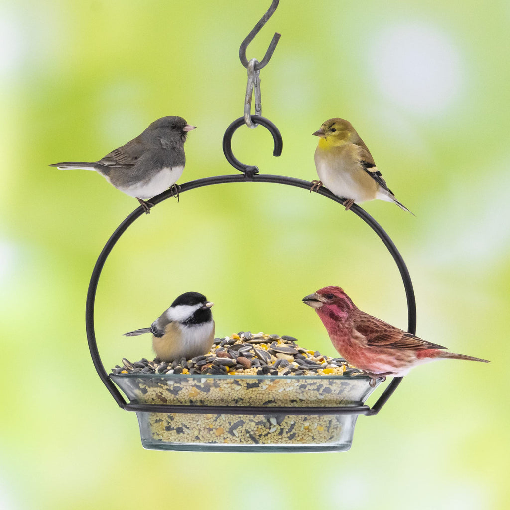 Audubon Park Songbird Wild Bird Seed, 14 lb.