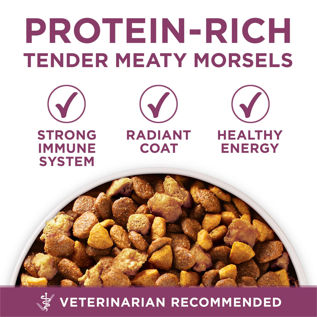 Purina ONE Plus Healthy Puppy Dry Food, Chicken, 8 lb Bag