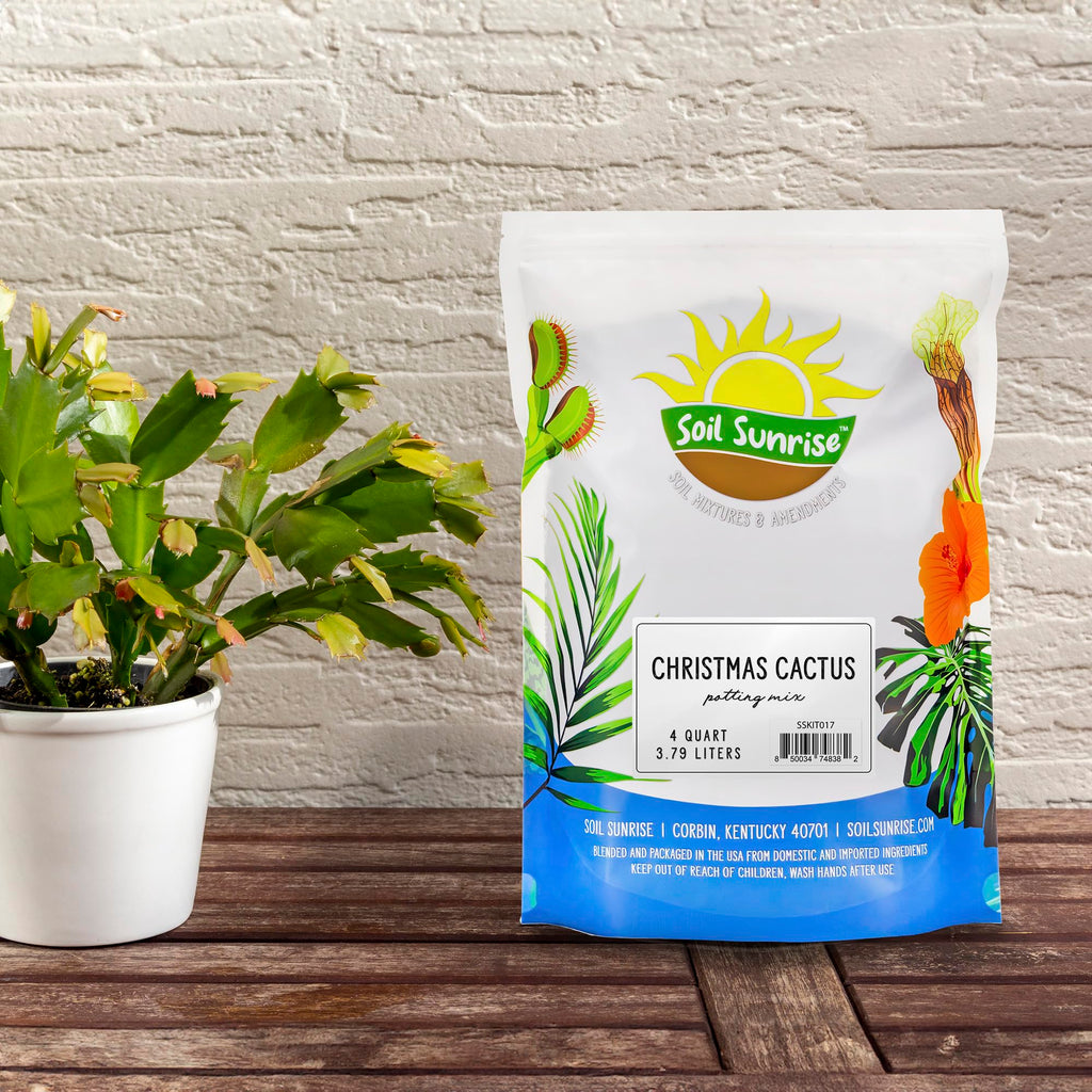 Soil Sunrise Christmas Cactus Potting Soil Mix (4 Quarts) Custom Blend for Xmas, Easter, and Thanksgiving Cactus Tropical Indoor Houseplants