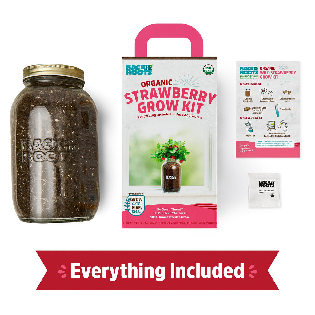 Back to The Roots Organic Strawberry Grow Kit — Grows Year Round, Includes Everything Needed for Planting