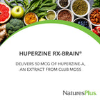 NaturesPlus Huperzine Rx-Brain - 30 Tablets - Brain Support Supplement - Promotes Memory, Learning & Optimal Cognitive Function - Gluten Free - 30 Servings