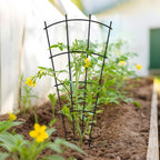Thealyn 43" Tall Metal Plant Trellis Climbing Plant Support, 4 Pack Black