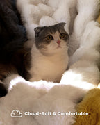 blunique Ultra Soft Cozy Faux Fur Throw Blanket, Fuzzy Plush Thick Bubble Blanket, Luxury Fluffy Blanket for Couch, Sofa, Bedroom, and Living Room, 50x60 Inches, Cream White