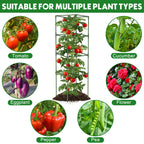 3 Pack Tomato Cage, 14.5" W x 53" H Square Tomato Trellis with 50 Pcs Clips