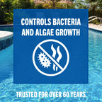 Leslie's 3 Inch Stabilized Chlorine Tablets for Sanitizing Swimming Pools - Individually Wrapped, Slow Dissolving - 90% Available Chlorine - 99% Tri-Chlor - 10 Pounds