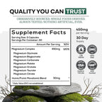 Wild Magnesium Complex for Women & Men – 7 Magnesium Forms in One: Glycinate, Citrate, Malate & More – High-Absorption Magnesio Complex with Fulvic Mineral Blend – 90 Capsules, 450 mg (Pack of 2)