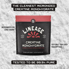Lineage Provisions Micronized Creatine Monohydrate with Sea Salt - Micronized Creatine Powder for Training & Performance – No Artificial Ingredients – 90 Servings