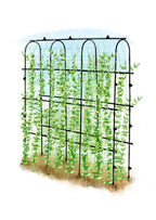 SUMGROW 6 ft Tall, Garden Trellis for Climbing Plants Outdoor with Nylon Net for Cucumbers Vines Beans Raised Bed - Lightweight Metal, Black