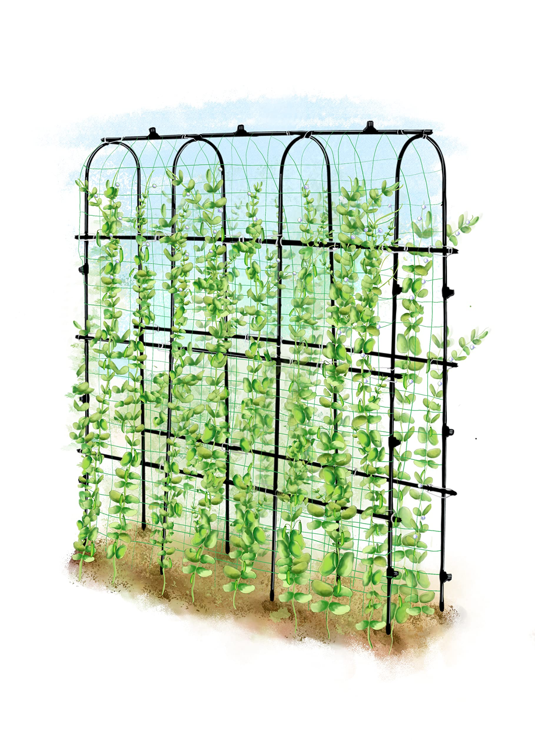 SUMGROW 6 ft Tall, Garden Trellis for Climbing Plants Outdoor with Nylon Net for Cucumbers Vines Beans Raised Bed - Lightweight Metal, Black