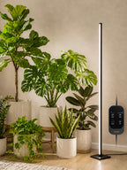 GLOWRIUM Vertical Grow Light for Indoor Plants, 60in LED Standing Lamp