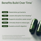 Seed DS-01 Daily Synbiotic - Prebiotic and Probiotic for Women & Men - Digestive Health, Gut Health, Immune Support, Bloating & Constipation Relief - Vegan & Shelf-Stable - 60-Day Refill (120ct)