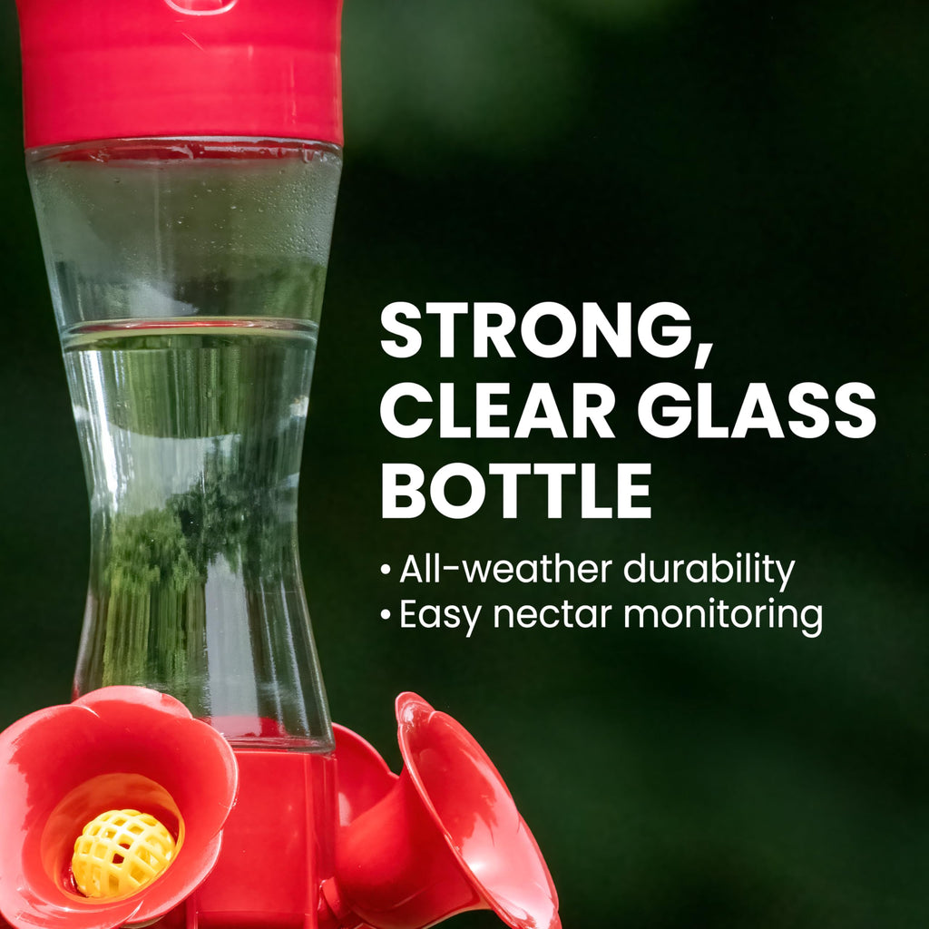 Perky-Pet Glass Hummingbird Feeders for Outdoors, 8 oz Nectar Capacity