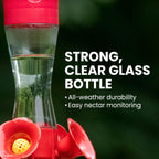 Perky-Pet Glass Hummingbird Feeders for Outdoors, 8 oz Nectar Capacity