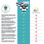 Tallowbourn Grass Fed Beef Tallow Balm for Face and Body with Shea Butter, Organic Jojoba Oil, Honey, and Beeswax – Beef Tallow for Skin – Vanilla and Spearmint – 2 oz