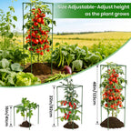 3 Pack Tomato Cages, 48'' Tall Tomato Plant Stakes Support for Raised Garden Bed Tomato, Square Trellis Cages for Garden Climbing Vegetables Flowers Fruits
