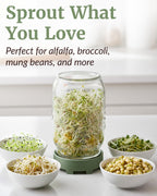 Elementi Sprouting Jar Kit - Set of 2 Wide Mouth Mason Jars with Sprout Lids & Stainless Steel Mesh Screen - Seed Sprouting Kit & Sprout Jars for Growing Broccoli Sprouts, Alfalfa, Mung Bean Sprouter
