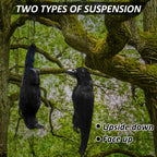 Lewtemi 2 Pcs 17 Inch Realistic Hanging Dead Crows Decoy Life Size Black Feathered Crow Fake Black Crows for Garden Decorations