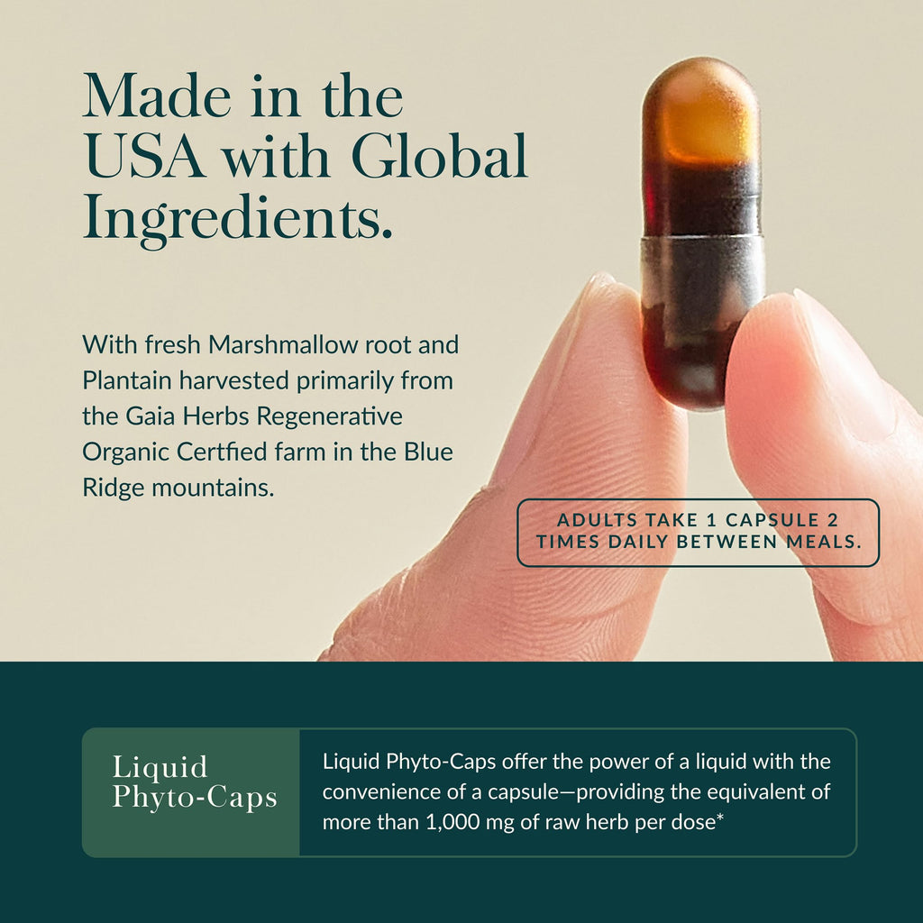 Gaia Herbs Mighty Lungs - Lung Support Supplement with Herbs Traditionally Used to Help Maintain Respiratory Health* - 60 Vegan Liquid Phyto-Caps (60 Servings)
