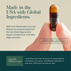Gaia Herbs Mighty Lungs - Lung Support Supplement with Herbs Traditionally Used to Help Maintain Respiratory Health* - 60 Vegan Liquid Phyto-Caps (60 Servings)