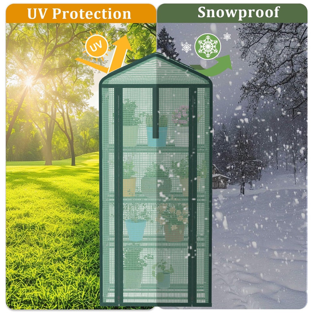 TianC beauty 4-Tier Mini Greenhouse for Indoor Outdoor