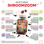 15in1 Mushroom Gummies with Lion's Mane Turkey Tail Cordyceps Reishi Chaga Sweet Toot Maitake Meshima Poria Cocos Shiitake Tremella, Oyster Agaricus Mushrooms for Men and Women Supplement - 2Pack