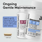 Youth & Tonic Complete Multi-Organ Detox Support – 15 Day Colon Cleanser & Gut Detox, Kidney Cleanse, Water Balance & Liver Health, 90 Pills for Women and Men