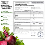 VitaUp Beet Root Gummies – Beetroot Gummies with CoQ10, Grape Seed, Vitamin C, B12 & B3 – Nitric Oxide Gummies for Circulation Support – Beet Supplement for Energy & Immune Support – 120 Beets Chews