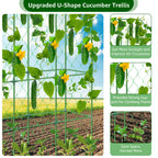 65"×48" Upgrade Heightened Cucumber Trellis for Raised Bed, U-Shape Garden Trellis for Climbing Plants Outdoor, Metal Arch Trellis for Fruit Vegetable Flower