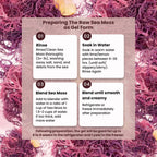 Herb To Body Purple Sea Moss – 4oz, Purple Sea Moss, Gold, 100% Wildcrafted from Saint Lucia Raw and Dried, Vegan Superfood with 90+ Minerals, Non-GMO