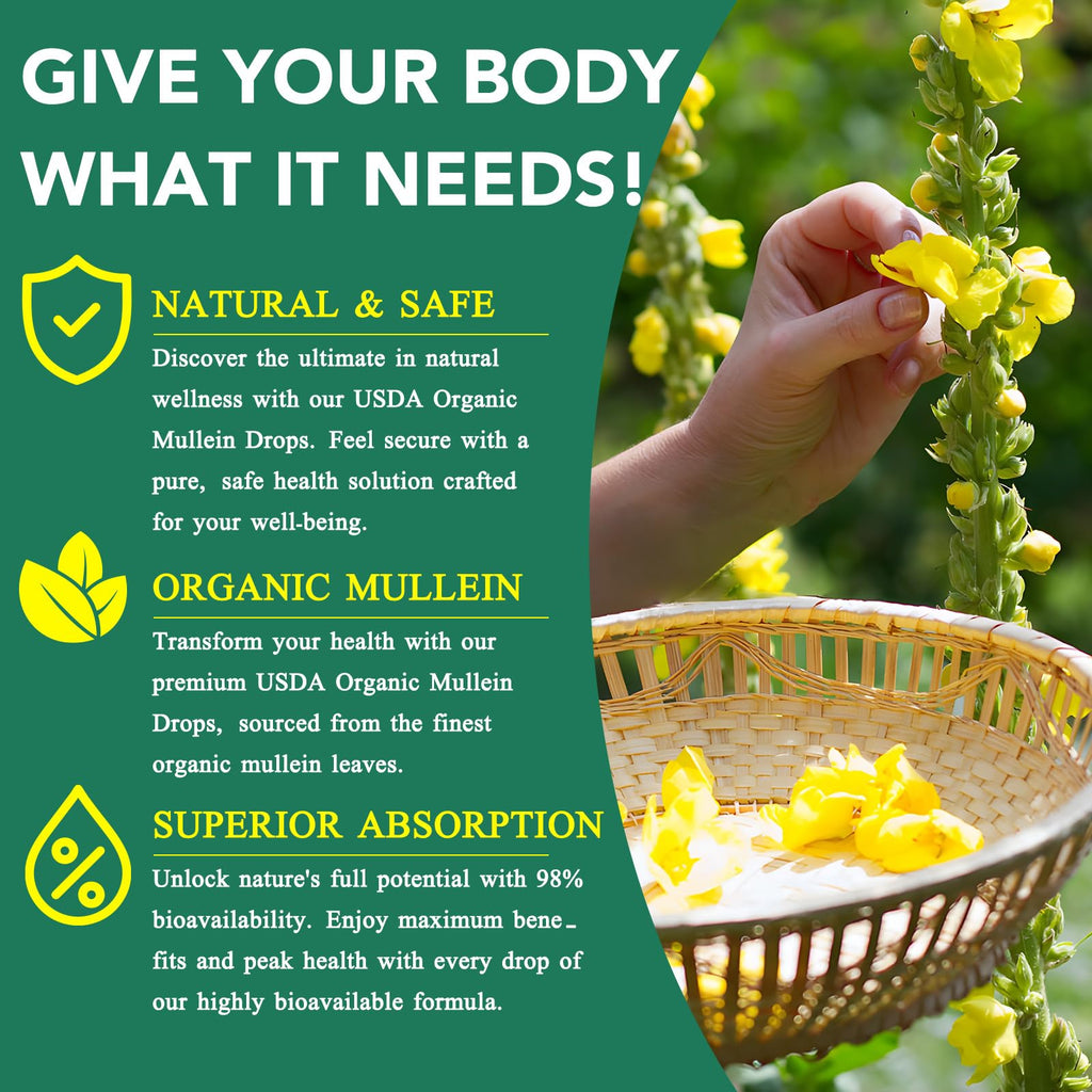 Mullein Drops for Lungs 4 Fl Oz - Mullein Leaf Extract for Lungs with Chlorophyll - Natural Herbal Supplement for Lung Cleanse, Respiratory Support, Boosts Immunity, Digestive Wellness