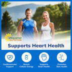 aSquared Nutrition CoQ10 200mg - 60 Capsules - CO Q 10 Supplement - Coenzyme Q10 Ubiquinone Pills - Vegan CoQ-10 Extra Antioxidant Vitamin - Alternative to Softgels & Gummies