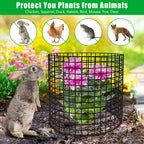 5 Pack Plant Protectors from Animals, 13x12" Plant Cages for Outdoor Plants