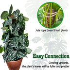 4 Pack 22 Inch Moss Poles, Stackable Moss Pole for Plants Monstera, 70 Inch Tall Moss Poles for Climbing Plants Indoor, Coir Totem Plant Support Stakes Stand for Potted Plants, Pothos