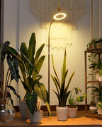 Bamworld Grow Lights for Indoor Plants, Full Spectrum Plant Lights